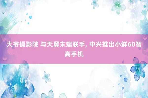 大爷操影院 与天翼末端联手， 中兴推出小鲜60智高手机