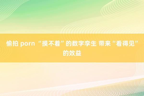 偷拍 porn “摸不着”的数字孪生 带来“看得见”的效益