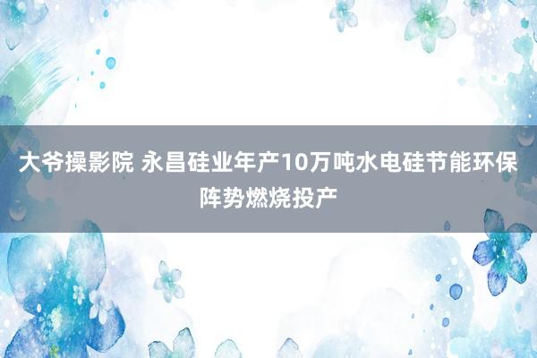 大爷操影院 永昌硅业年产10万吨水电硅节能环保阵势燃烧投产