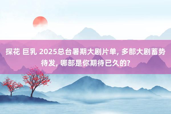 探花 巨乳 2025总台暑期大剧片单， 多部大剧蓄势待发， 哪部是你期待已久的?