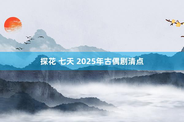 探花 七天 2025年古偶剧清点